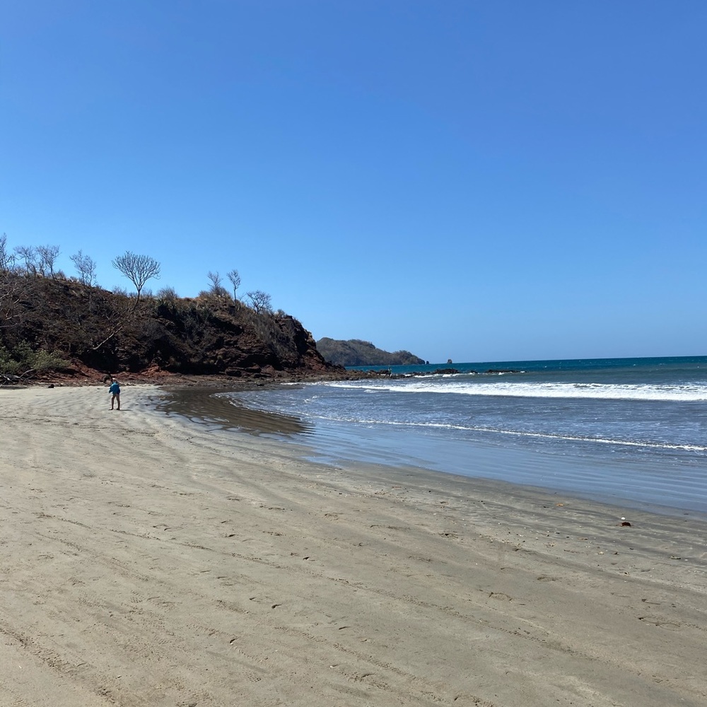 Meet your Posher, Nami